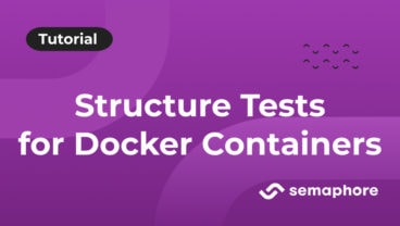 Structure Tests for Docker Containers